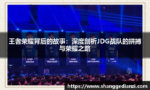 王者荣耀背后的故事：深度剖析JDG战队的拼搏与荣耀之路
