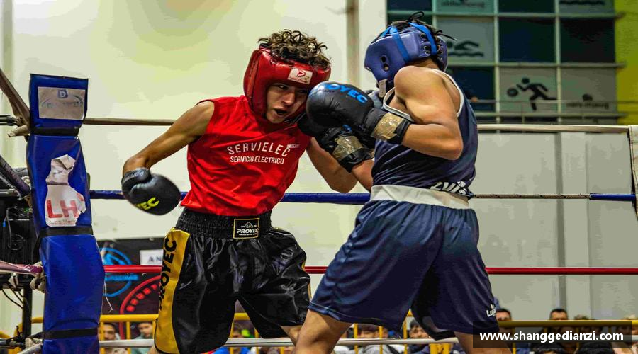 壹号平台激情碰撞，梦想闪耀！